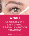2 in 1 lash lifting and brow lamination course what you will learn about doing both treatments